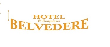ΞΕΝΟΔΟΧΕΙΟ ΑΧΛΑΔΙΕΣ ΣΚΙΑΘΟΣ -  BELVEDERE HOTEL